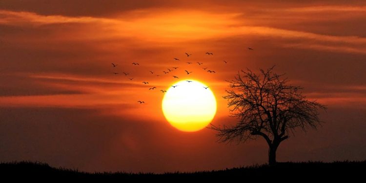 Postmillennial Fanatics