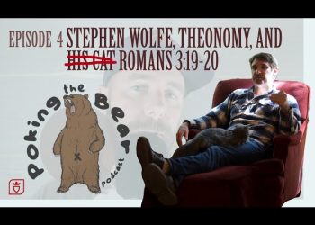 Stephen Wolfe, Theonomy, and Romans 3:19-20