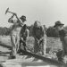 Selling Labor, Voluntarism, and Biblical Law